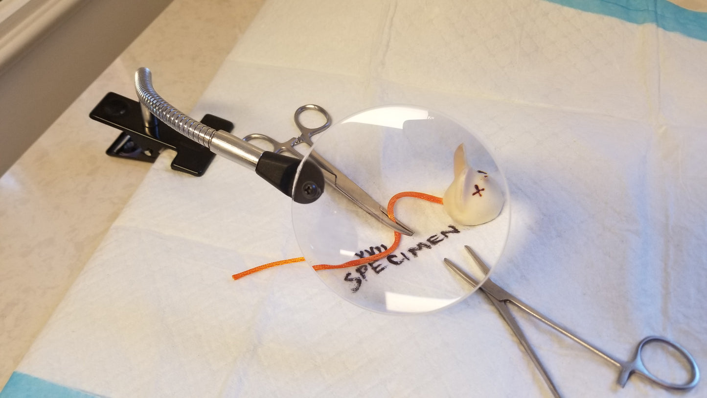 Magnifying Glass with Clip on a work station with flexible neck enlarging view on lab/medical station. Large Magnifier for sale at NSC LLC.