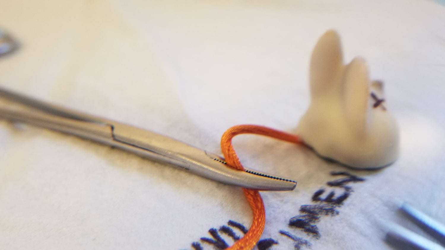 Close up view through magnifying glass enlarging laboratory workstation marked with ink, with faux lab mouse or lab rat specimen. Available through NSC LLC. 